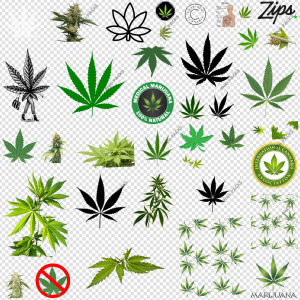 Cannabis PNG Transparent Images Download