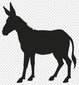 Donkey PNG Transparent Images Download