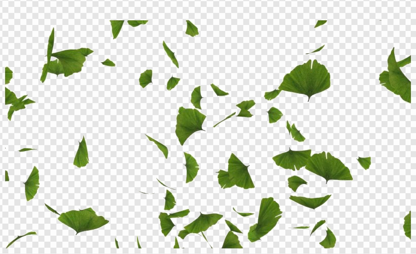 Green Leaves PNG Transparent Images Download - PNG Packs