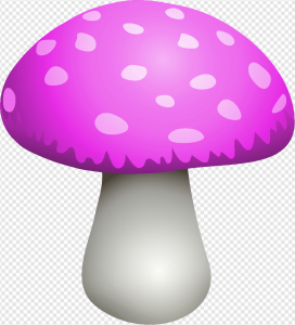 Mushroom PNG Transparent Images Download