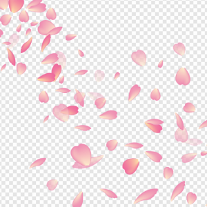 Sakura PNG Transparent Images Download
