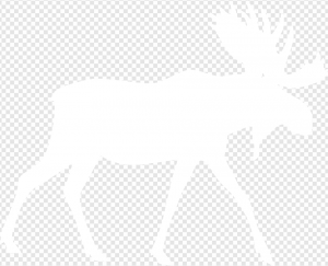 Elk PNG Transparent Images Download