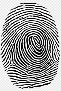 Fingerprint PNG Transparent Images Download