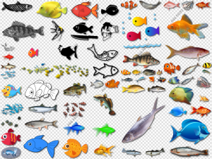 Fish PNG Transparent Images Download