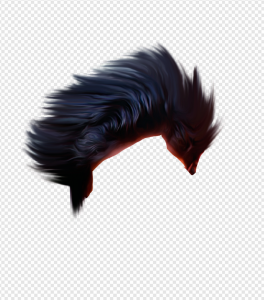 Hair PNG Transparent Images Download