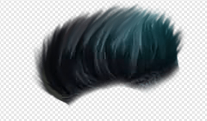 Hair PNG Transparent Images Download